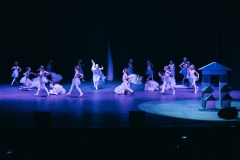 62A5130_fullres