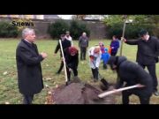 Lysá nad Labem – Oslavy 100. Výročí Československého státu – sázení Lípy Lysá nad Labem – Oslavy 100. Výročí Československého státu – sázení Lípy