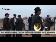 Slavnostní dosadba vinic na Klášterních terasách v Lysé nad Labem Slavnostní dosadba vinic na Klášterních terasách v Lysé nad Labem