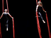 Cirkus TeTy na 12. Řemeslném jarmarku v Lysé nad Labem Cirkus TeTy na 12. Řemeslném jarmarku v Lysé nad Labem