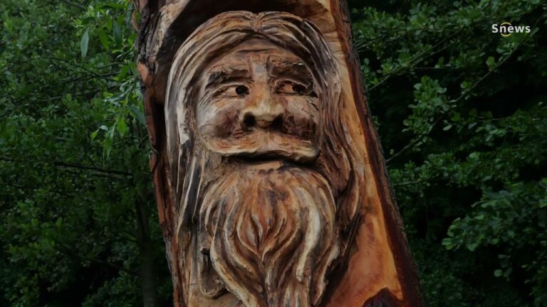 Mistrovství České republiky v koňském spřežení míří do Semic