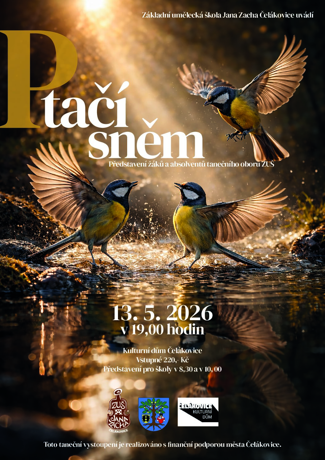 Ptačí sněm — KD Čelákovice