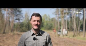 Veřejná výsadba v Benátkách nad Jizerou